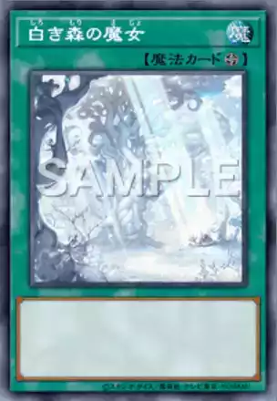 白き森の魔女画像