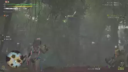 実際の場所