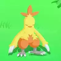 ワカシャモの星2寝顔画像