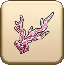 ピンクのサンゴ