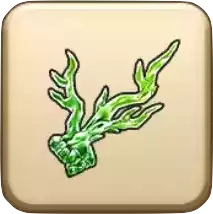 みどりのサンゴ