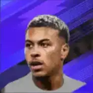 モーガン・ロジャーズの画像