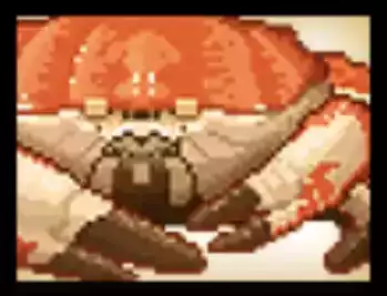 タスマニアオオガニCCの画像