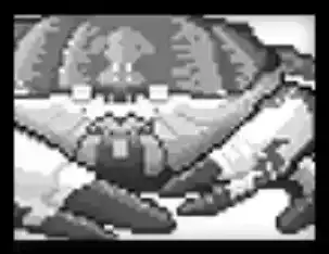 タスマニアオオガニの画像