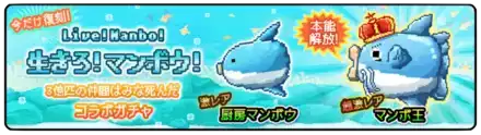 生きろマンボウコラボガチャの画像