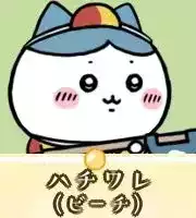 ハチワレ（ビーチ）画像