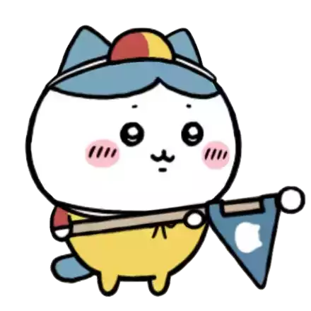 ハチワレ（ビーチ）画像