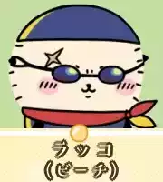 ラッコ（ビーチ）画像