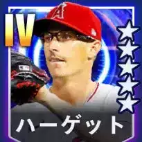 ハーゲット画像