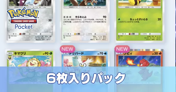 6枚入りパック