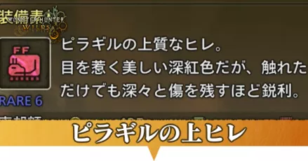 ピラギルの上ヒレ