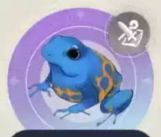 サマータイムフロッグの画像