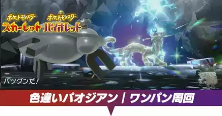 パオジアンレイドのワンパン方法