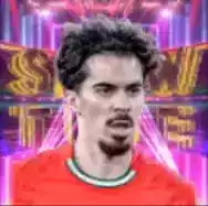 STヴィティーニャ(08/04)画像