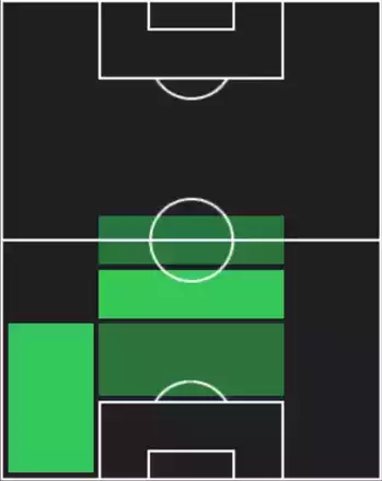 HPレナト・ヴェイガ(08/04)の適性ポジション