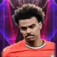 HPレナトヴェイガ(08/04)画像