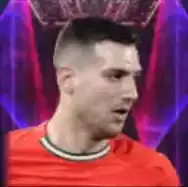 HPディオゴダロト(08/04)画像