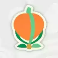 Pスイッチ17ステッカー