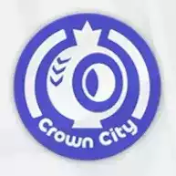 Pスイッチ30ステッカー