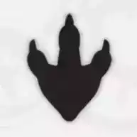 Pスイッチ251ステッカー