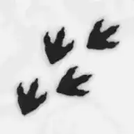 Pスイッチ371ステッカー