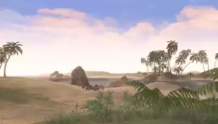 クロコダイルの白浜（インナドリルの危機）