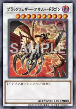 誇り高き漆黒の翼