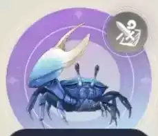 サマータイムクラブの画像