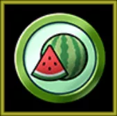 サマーフェスタコイン【スイカ】