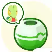 キモリのおこうの画像