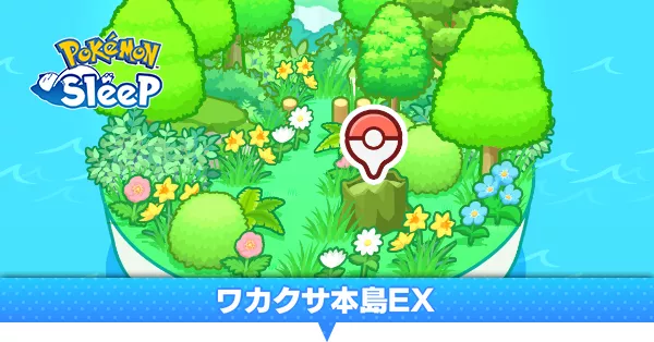 ワカクサ本島EX