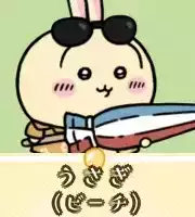 うさぎ（ビーチ）画像