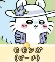 モモンガ（ビーチ）画像