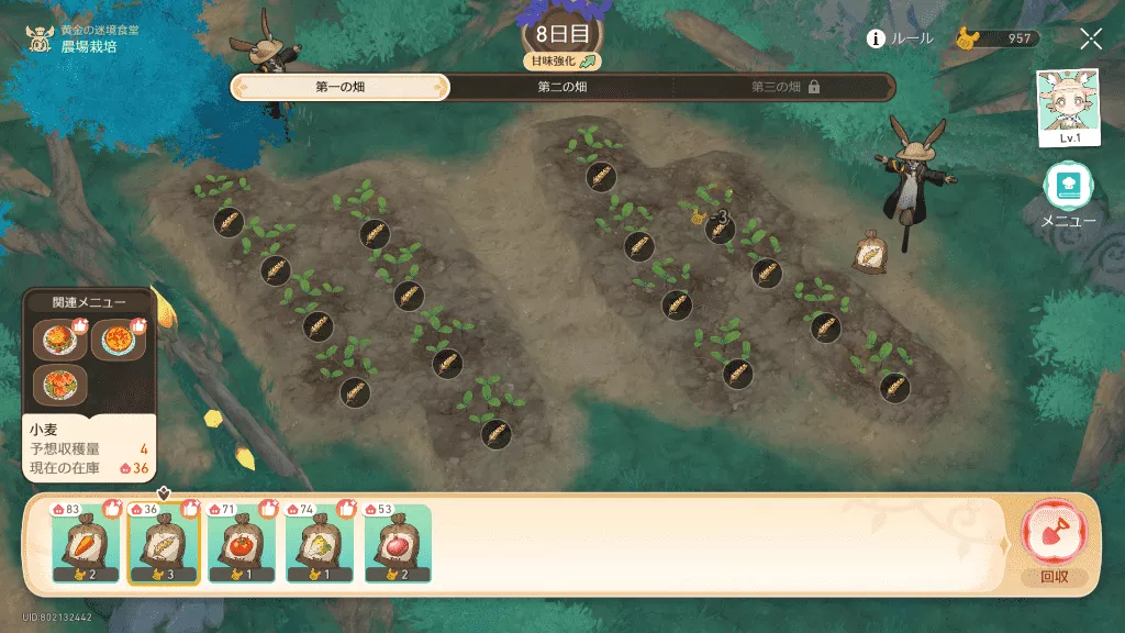 畑で作物を回収し新たに植える