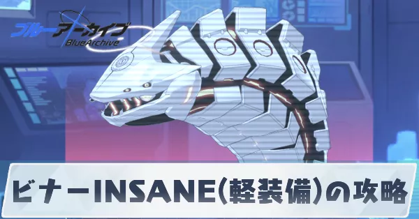ビナーINSANE(軽装備)