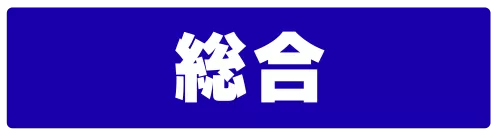 総合