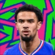 HPウォーレンザイルエメリ(ヤマルパック2026)画像