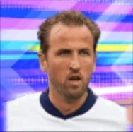 HPハリーケイン(ステップアップ)画像