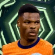 HPデンゼルドゥンフリース(スタートアップセット)画像