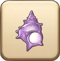 あらなみの貝がら