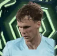 HPヴィリオットスヴェドバリ(08/15)画像