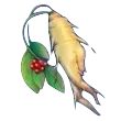 モラゴラ