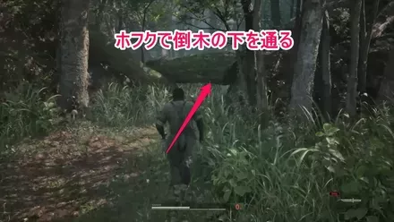 倒れた木の下を通る