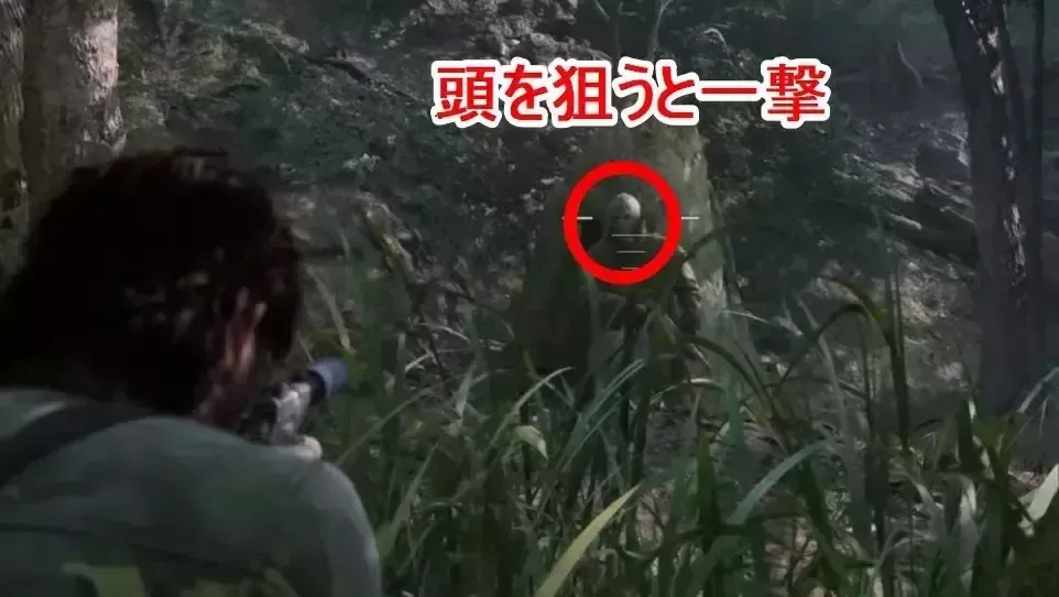 麻酔銃は頭を狙うと一撃