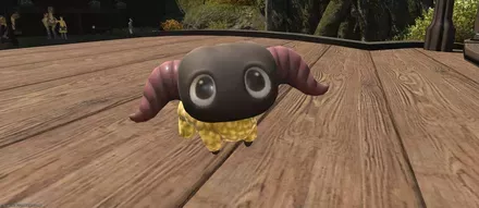 いただききゃっと