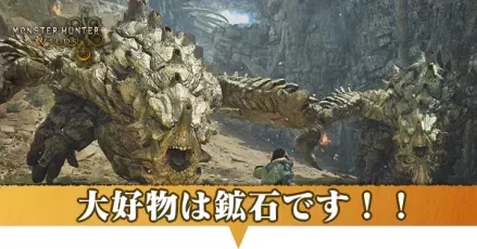 大好物は鉱石です