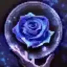 リカバリー シード