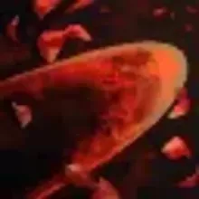 ナイトメア ブロッサム