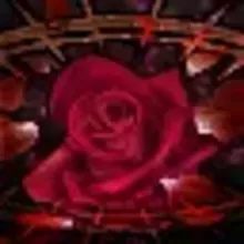 クイーンズ ガーデン