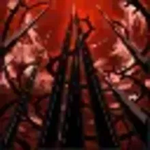 ヴァイン フォレスト